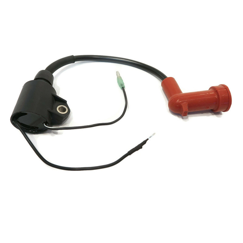 Bobina di accensione fuoribord - Spark Plug recensione e prezzo
